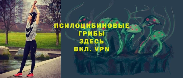 соль ск Гусев