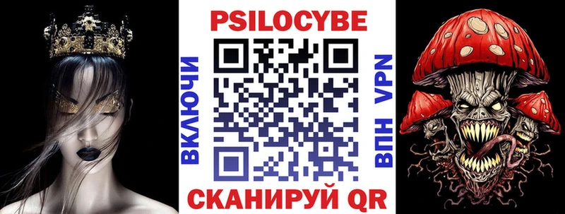 магазин продажи наркотиков  Ершов  Псилоцибиновые грибы Psilocybe 